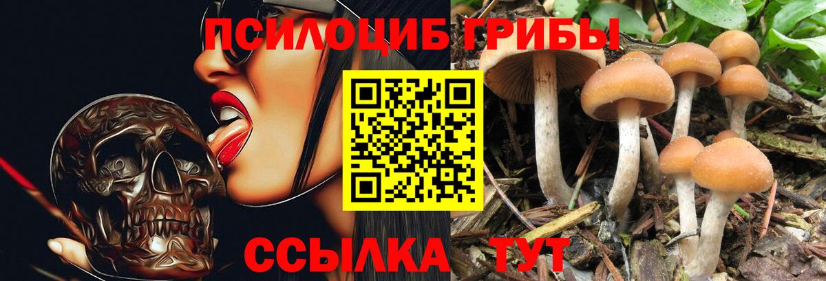 Галлюциногенные грибы мухоморы  дарнет шоп  Ржев  Вход с VPN 