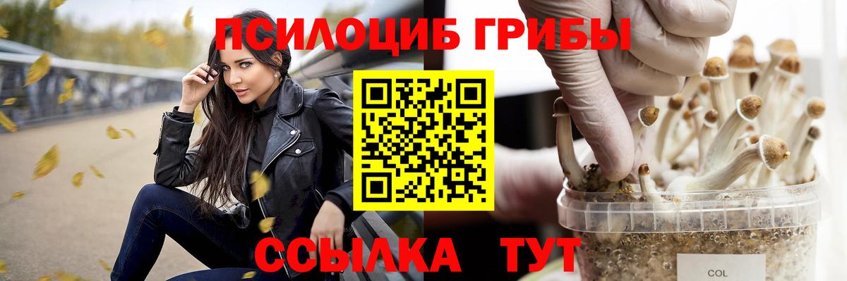Галлюциногенные грибы мицелий Ржев